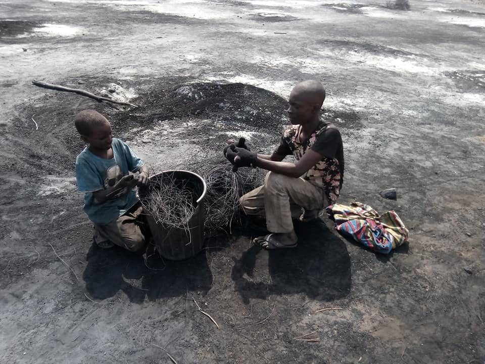 Climate change; Slaughterhouses, Highest Pollutants Of Environment In