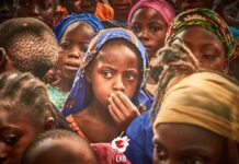Rising Climate-Induced Displacement Of IDPs in Northern Nigeria Demands Urgent Attention