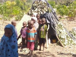 Climate Crisis Drives Silent Separation: Rise of “Climate Orphans” in Rural Communities