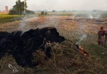 Harmattan Season: Scientists, Stakeholders Warn Residents Against Fire Outbreaks