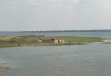 African Fisheries Under Threat as Climate Change Alters Aquatic Ecosystems :