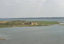 From Frogs to Fortune: How the Rainy Season is Creating New Livelihoods Along River Communities