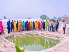 From Tree Planting to Climate Awareness: Gombe Advances Green Agenda on World Environment Day
