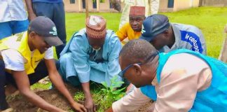 Environmental Groups Launch Tree-Planting Campaign in Kwami