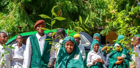 Gombe Goes Green Initiative Plants Trees, Sensitizes Students at GDSS Bolari East