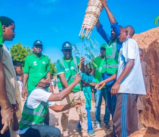 Gombe’s Green Agenda Gets Boost as JEI Plants 550 Trees
