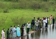 Kangimi Dam Safe, Stable, No Cause for Alarm — Kaduna SPIN Coordinator