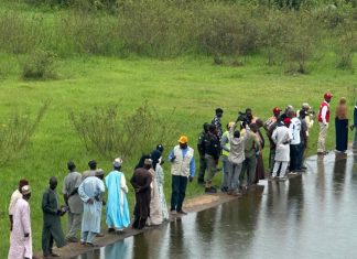 Kangimi Dam Safe, Stable, No Cause for Alarm — Kaduna SPIN Coordinator