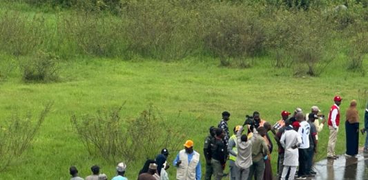 Kangimi Dam Safe, Stable, No Cause for Alarm — Kaduna SPIN Coordinator