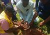 ACReSAL SUPPORTS FMC KUMO WITH TREE PLANTING AND MEDICAL CONSUMABLES