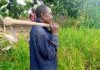 Dry Season: How Nigerian Farmers Are Changing Food Storage Practices Amid Extreme Heat and El Niño Concerns