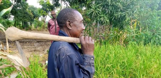 Dry Season: How Nigerian Farmers Are Changing Food Storage Practices Amid Extreme Heat and El Niño Concerns